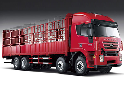 عربة نقل البضائع، 8×4 Euro III Cargo Truck (Kingkan)