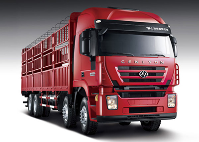 عربة نقل البضائع، 8×4 Euro III Cargo Truck (Kingkan)
