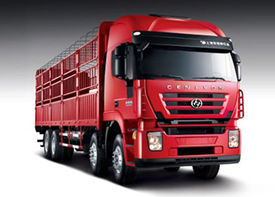 شاحنة نقل بضائع، 8×4 Euro IV Cargo Truck (Kingkan)